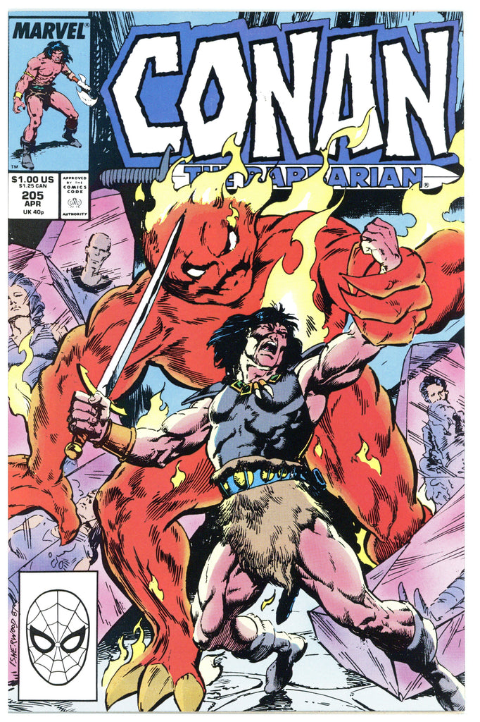 Conan the Barbarian #205 NM+