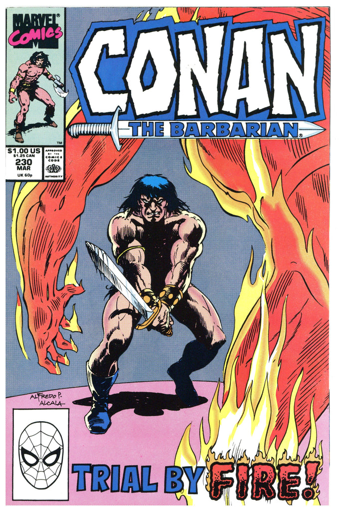Conan the Barbarian #230 NM+