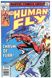 Human Fly #13 VF-
